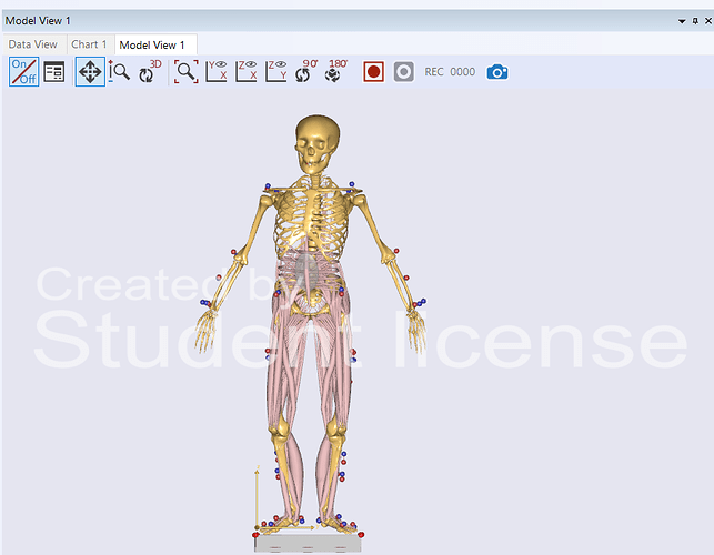 inversedynamics