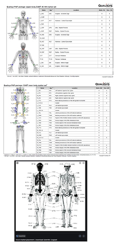 Vicon and Qualisys marker placement