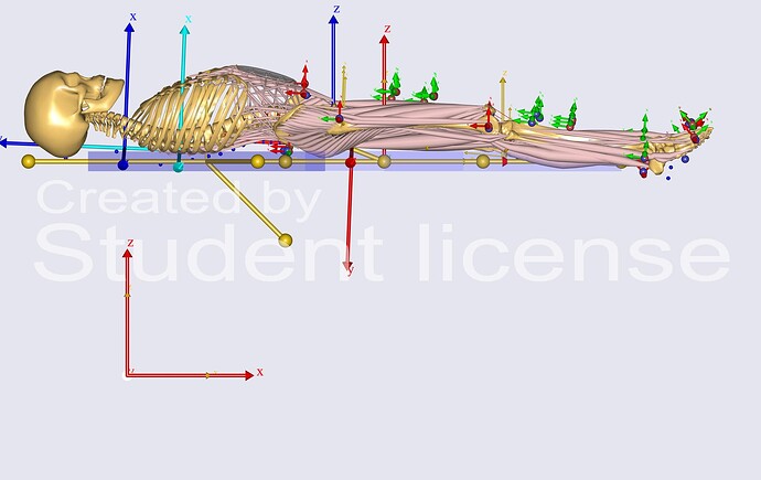 Kinematics