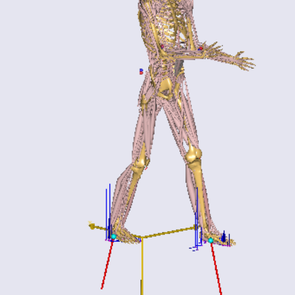 AnyBody 6.0 (64-bit)