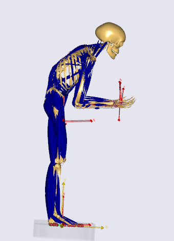 Unable to solve kinetics of standing model during pushing task - Main ...